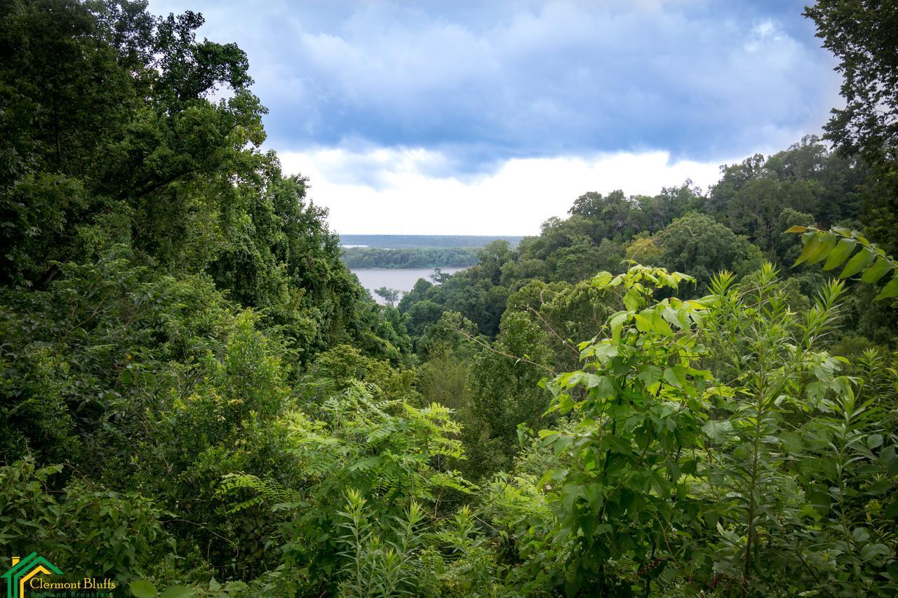 Clermont Bluffs Bed & Breakfast Bed and Breakfast Natchez Esterno foto